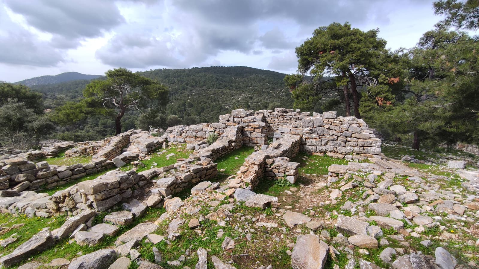 Pedasa