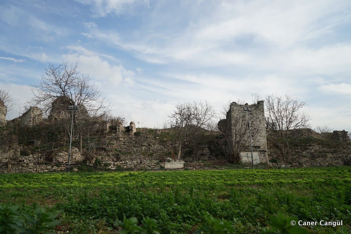 Kara Surları, Ana Sur, T38
