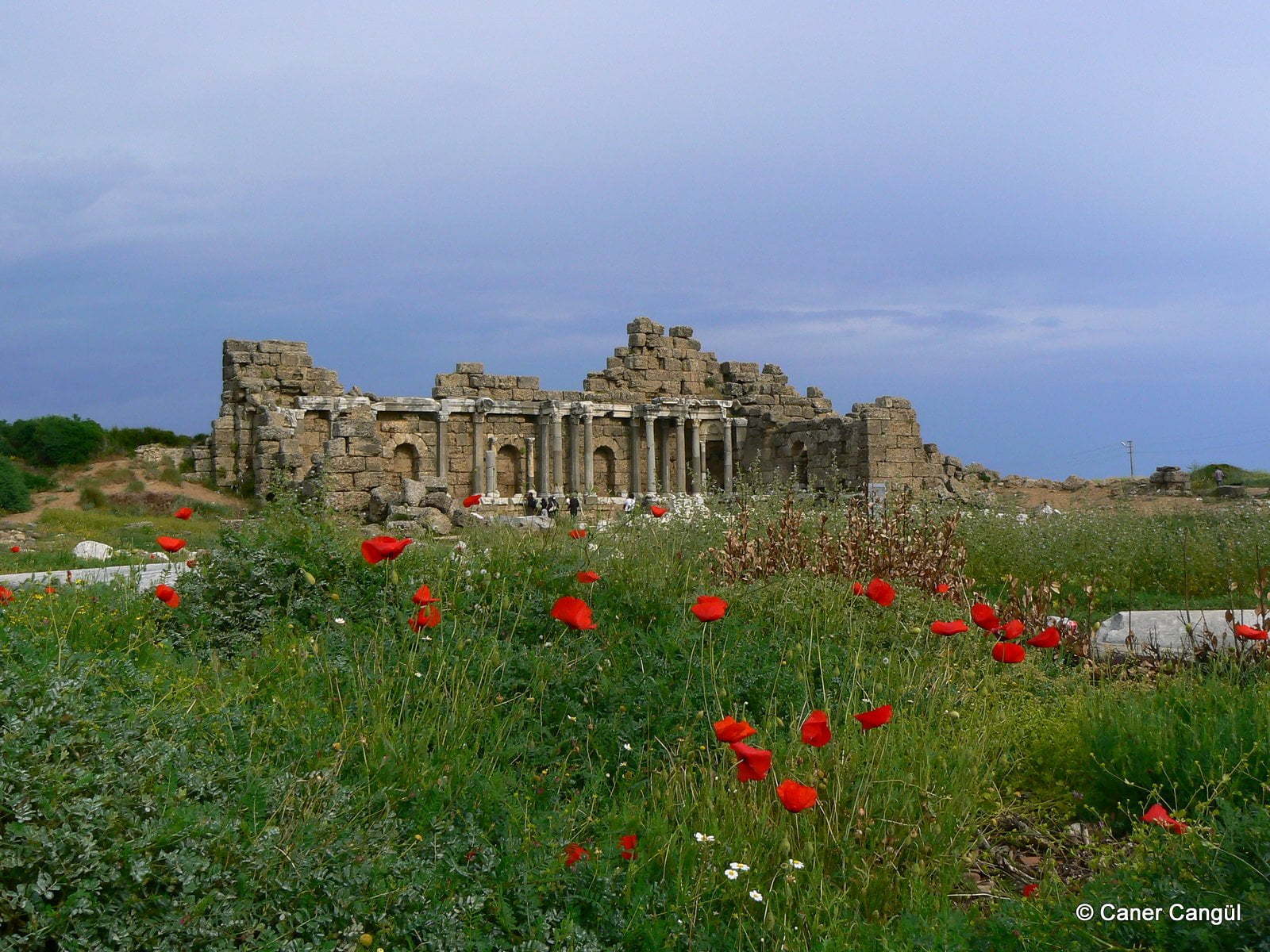 Side Devlet Agorası