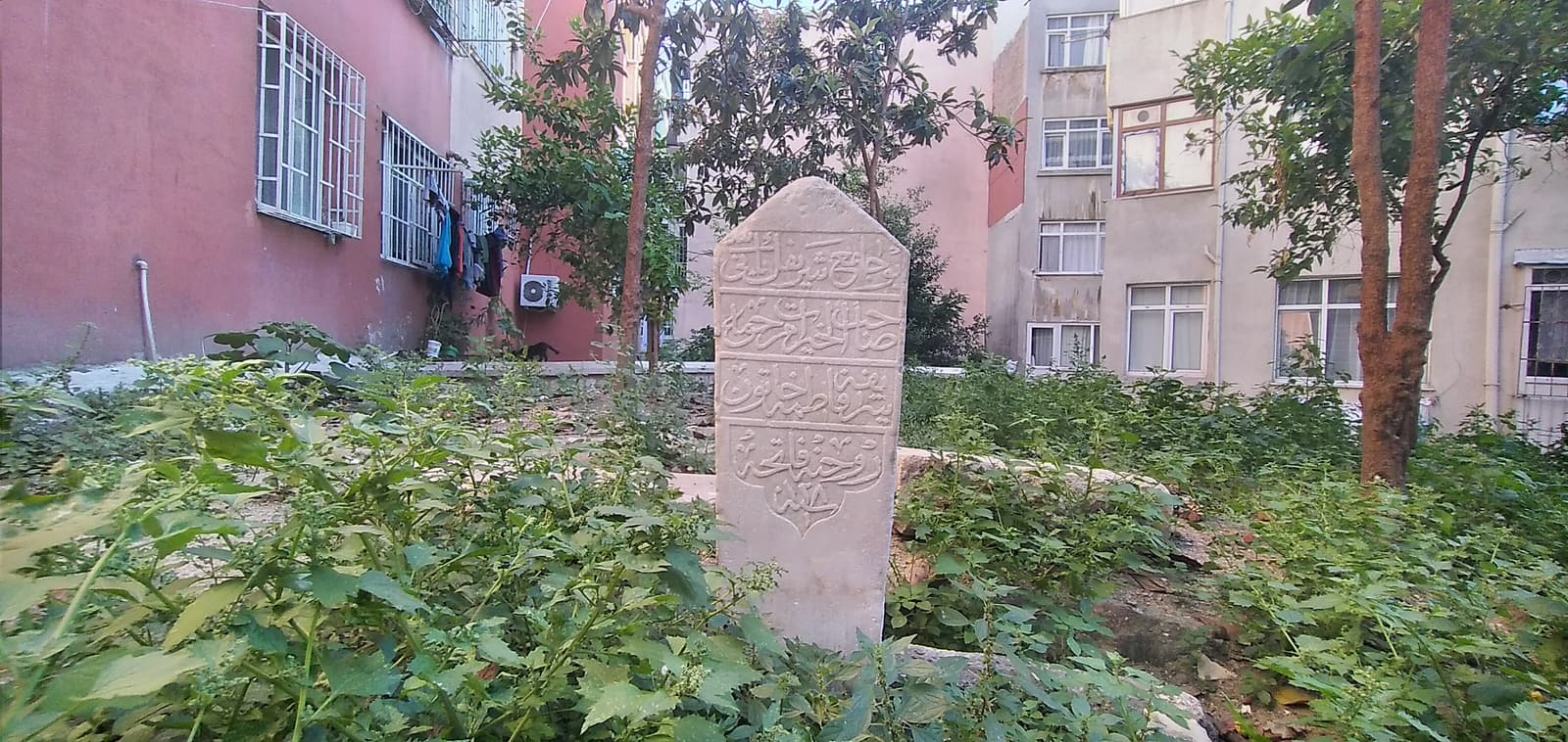 Bitlice Mescidi