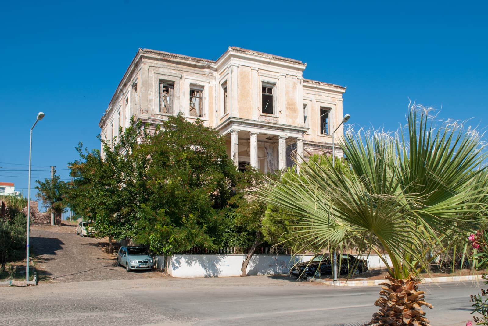 Despot Evi