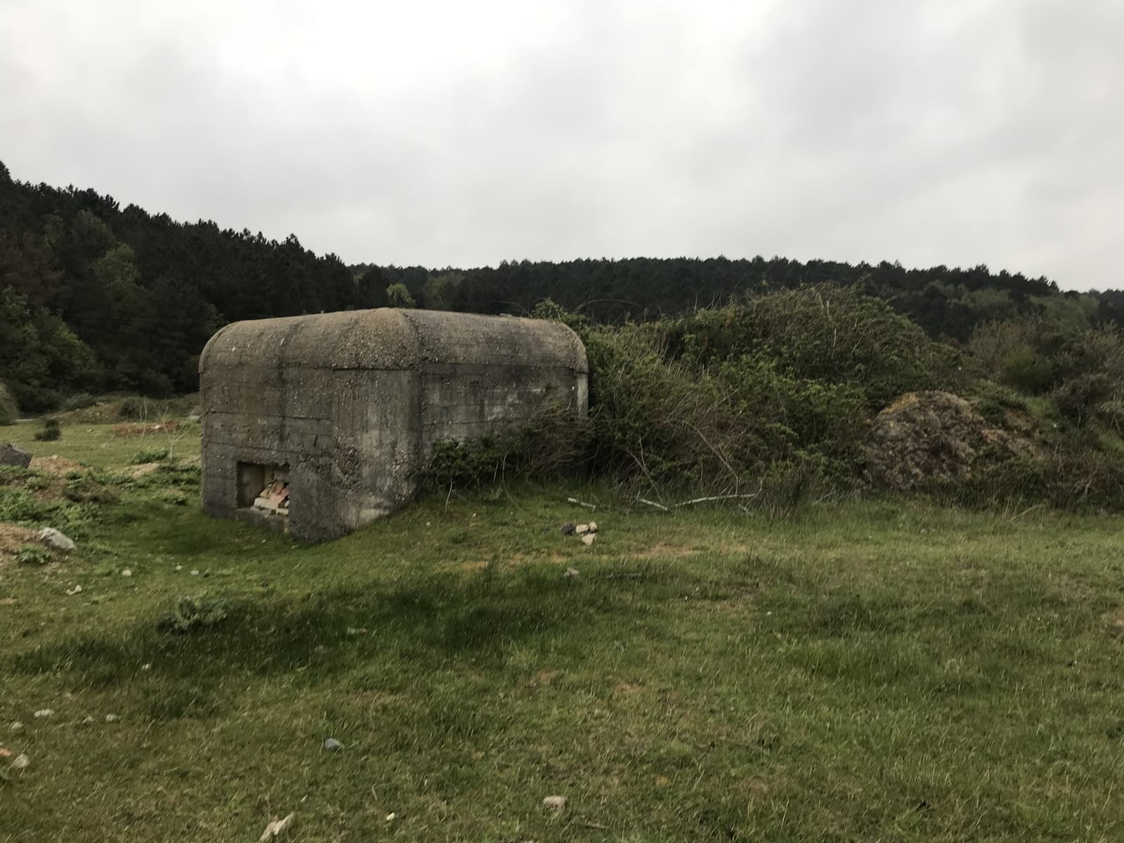 Korugan 1, Uskumruköy