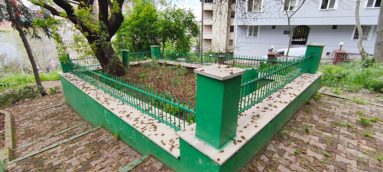 Buhur Baba Türbesi