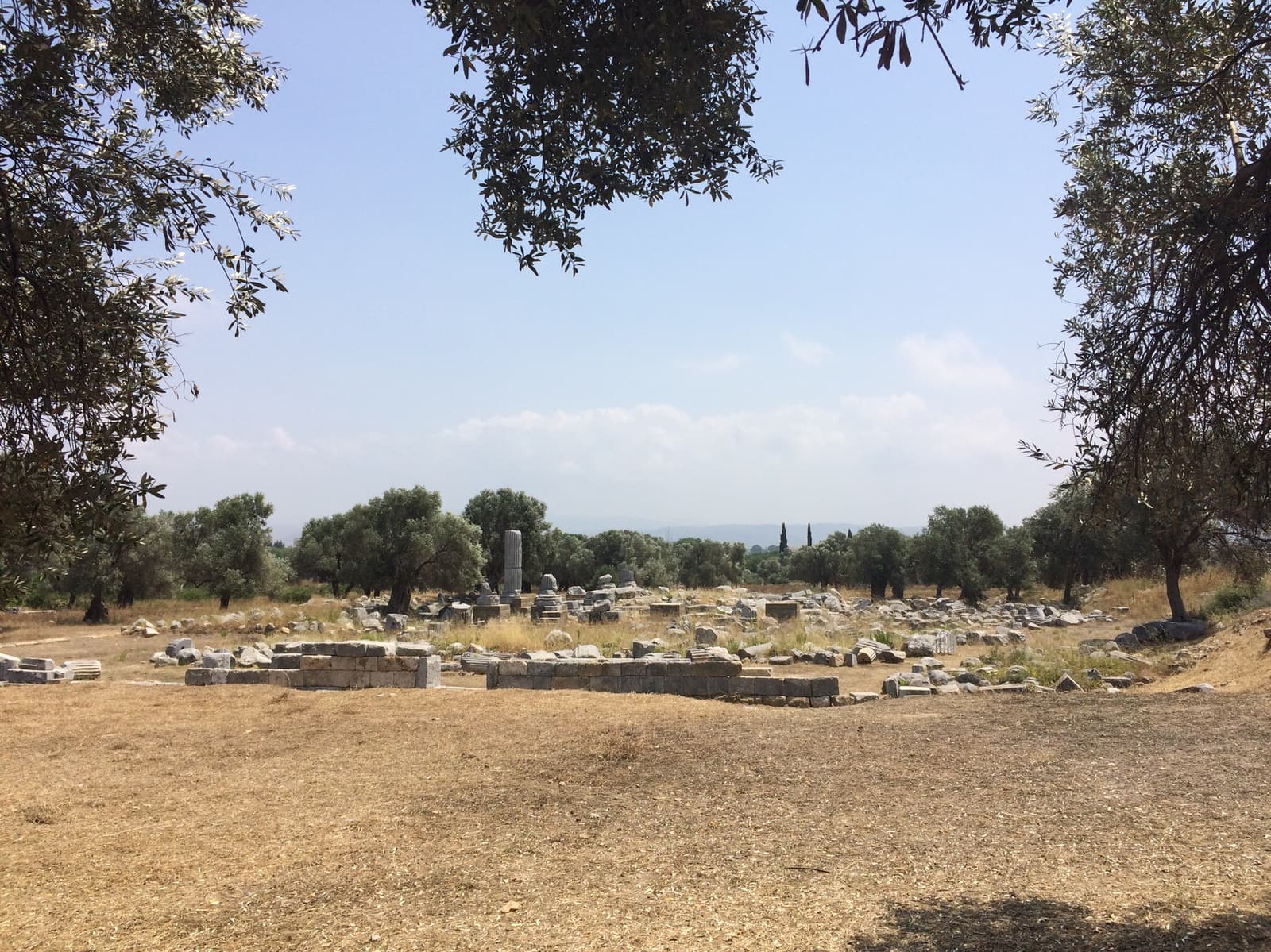Teos