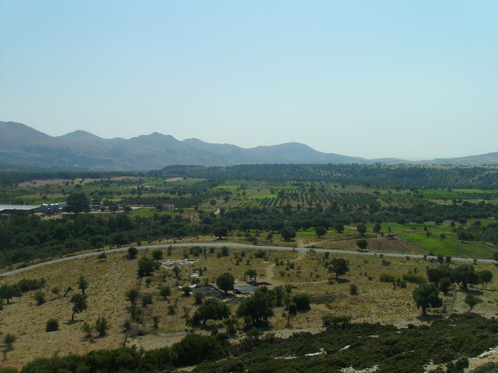 Uğurlu / Zeytinli