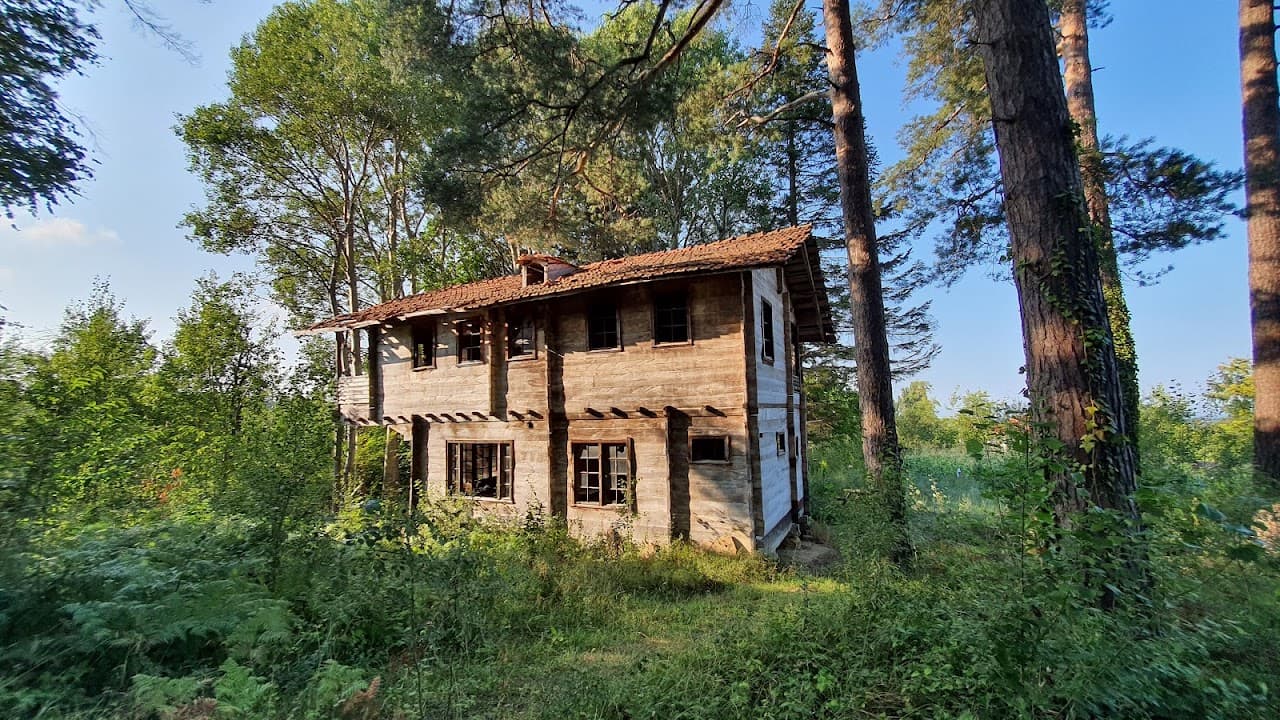Ahmet Muhip Dıranas Evi, Sinop