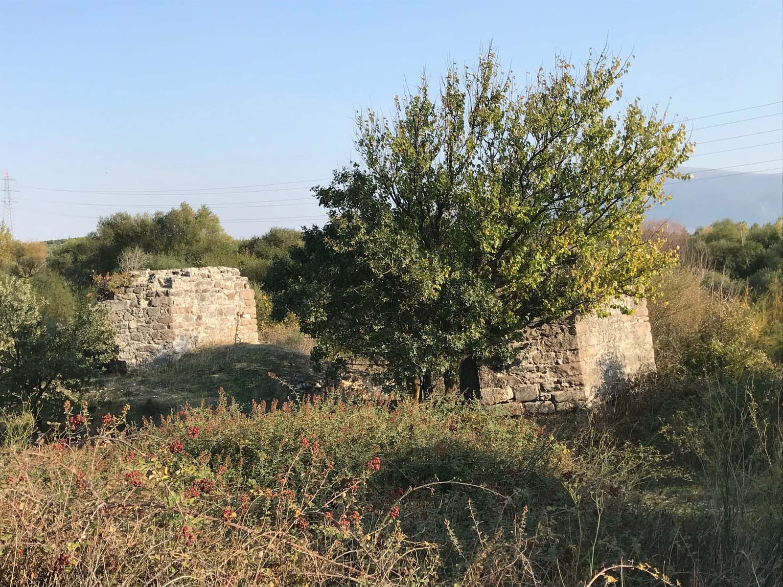 Roma Köprü Kalıntıları