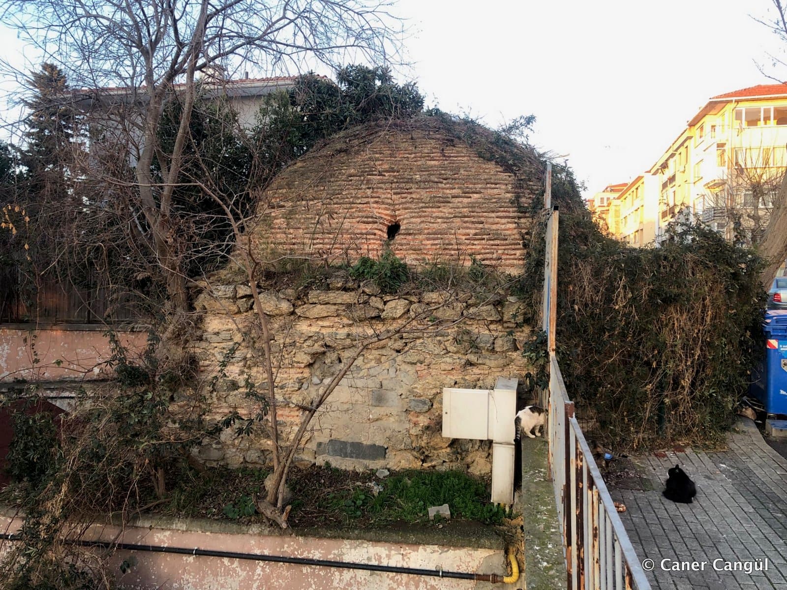Vank’ın Bağı’ndan Kalan Kubbeli Sarnıç