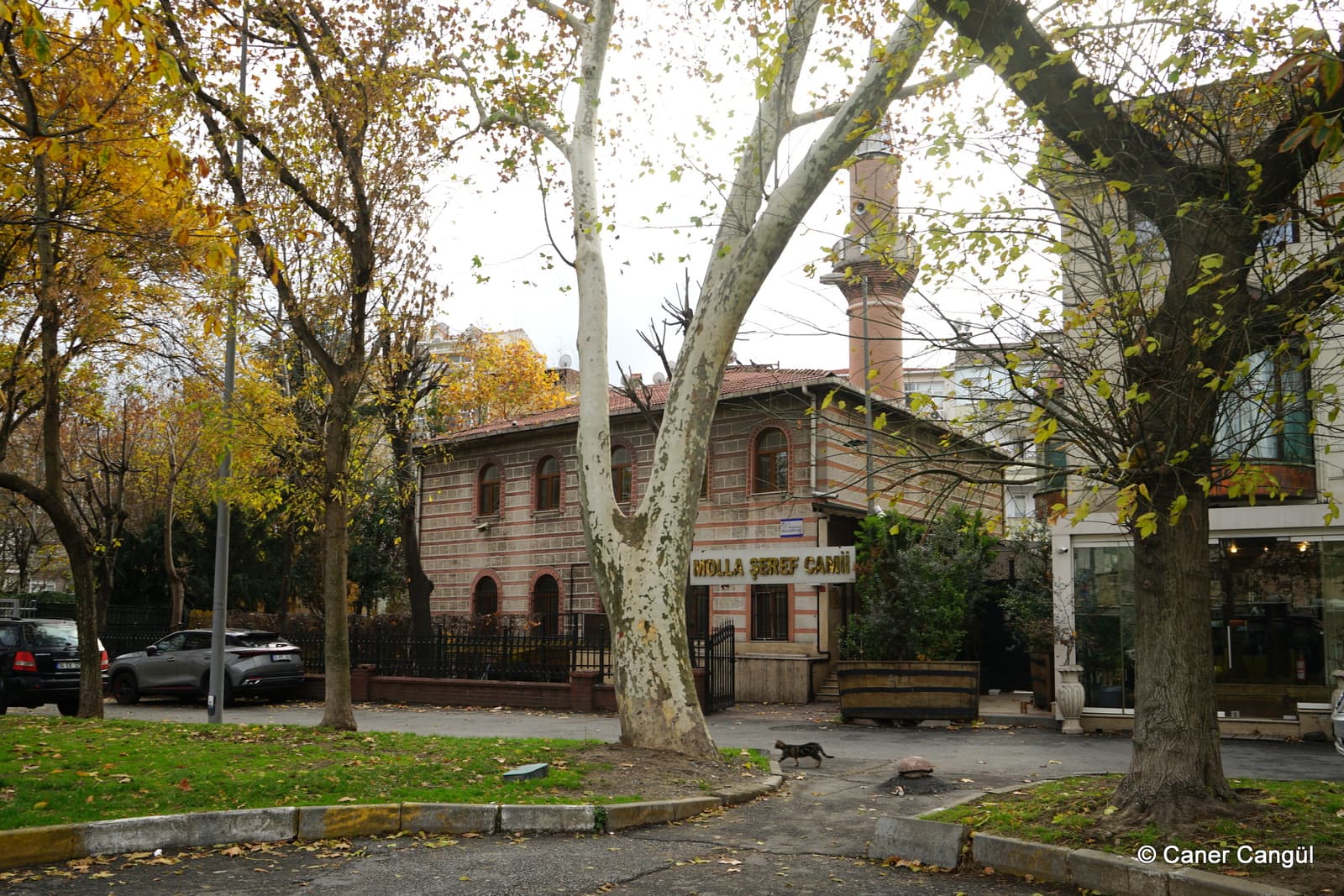 Molla Şeref Camii