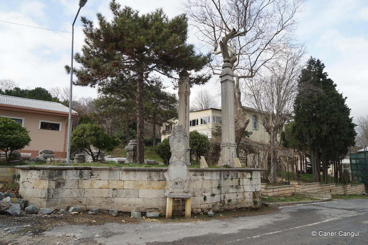 Lahana ve Bamya Sütunları
