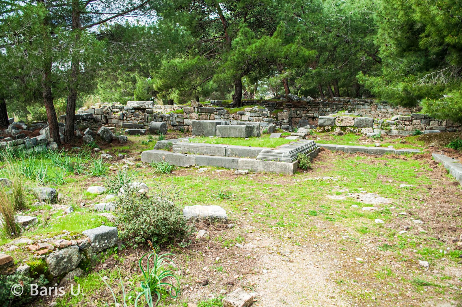 Priene Gymnasium