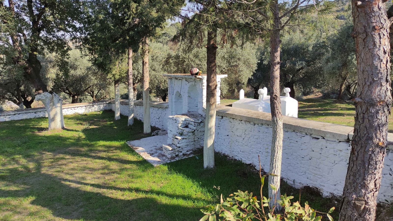 Yortuç Namazgahı