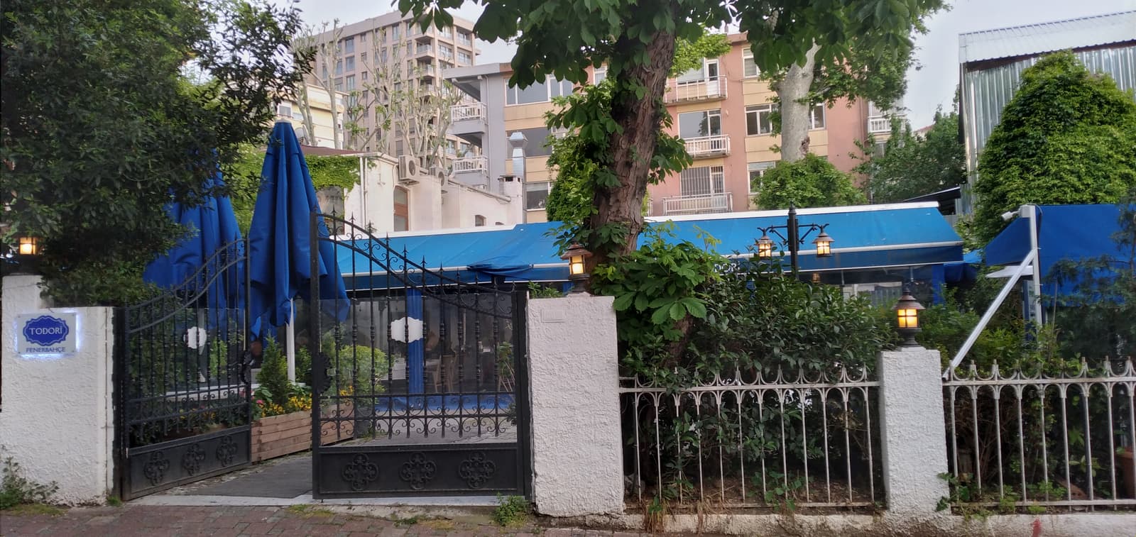 Todori Fenerbahçe