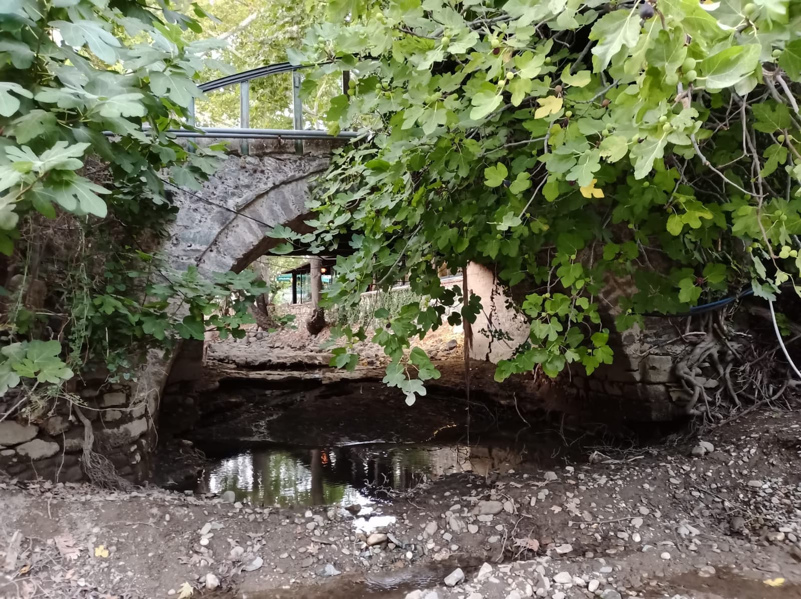 Manastır Çayı Taş Köprü