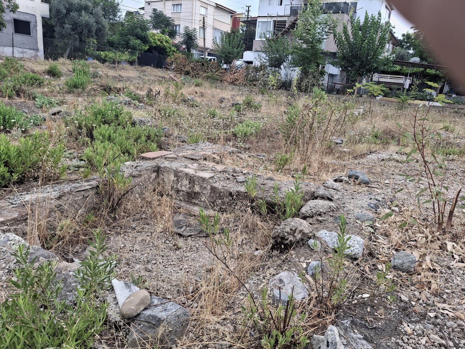 Düziçi Taban Mozaiği ve Arkeolojik Alanı