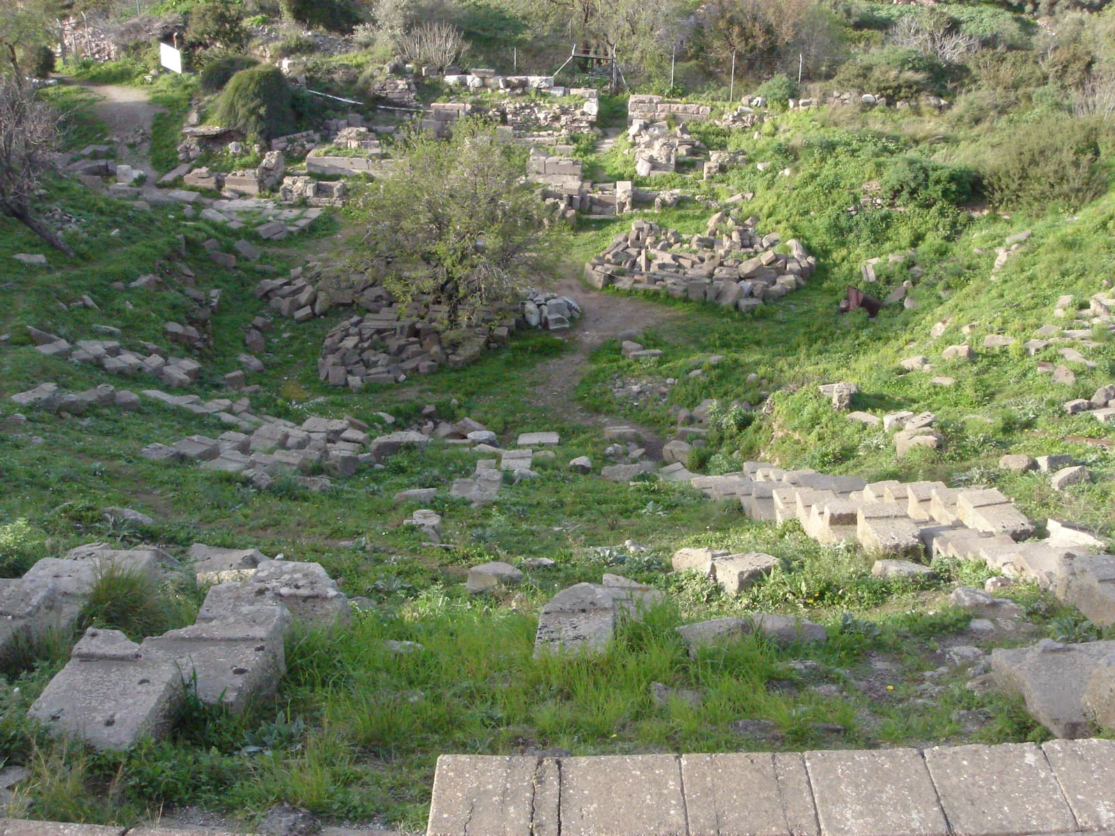 Erithrai