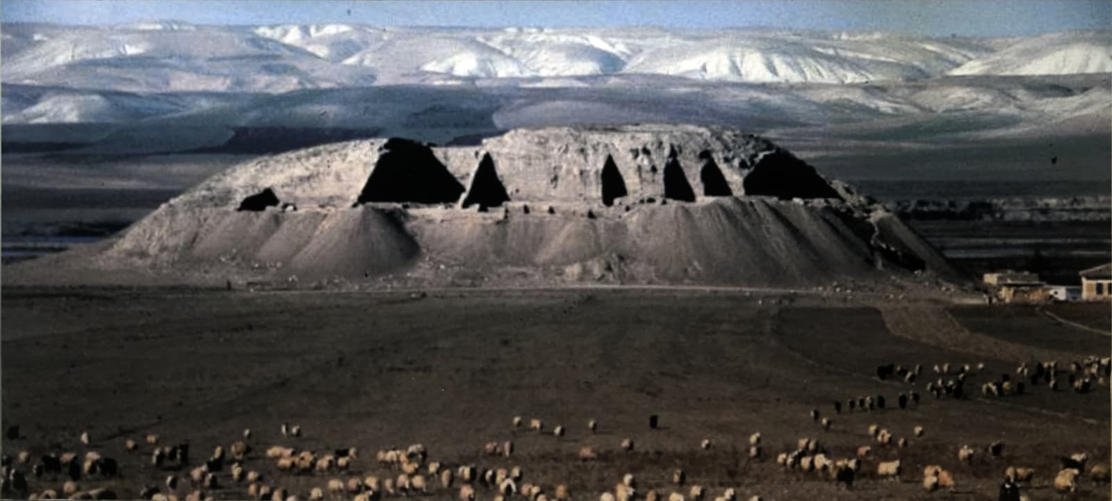 Lidar Höyük
