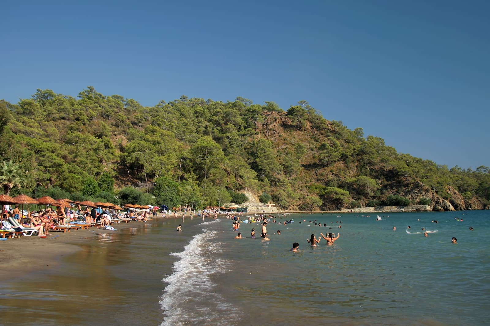 Günlüklü Koyu